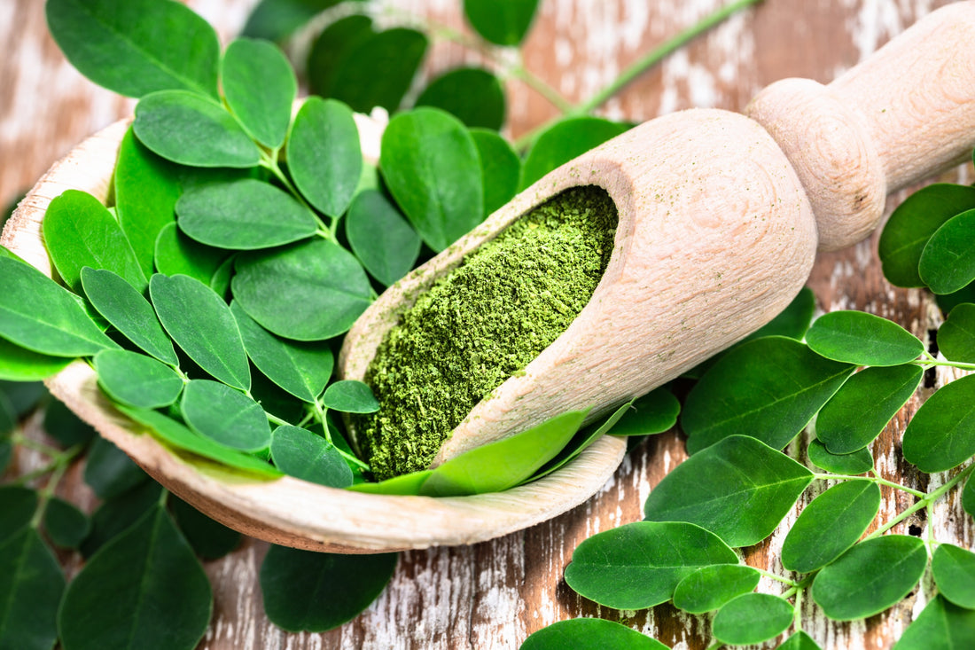 Moringa Leaves: 16 Health Benefits You Should Know